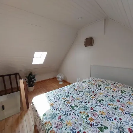 Entre Temps Et Pavés *