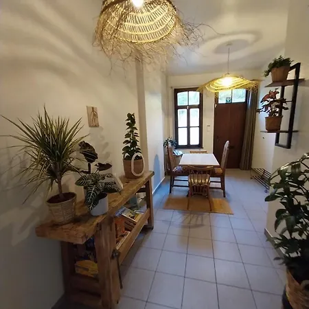 Entre Temps Et Pavés